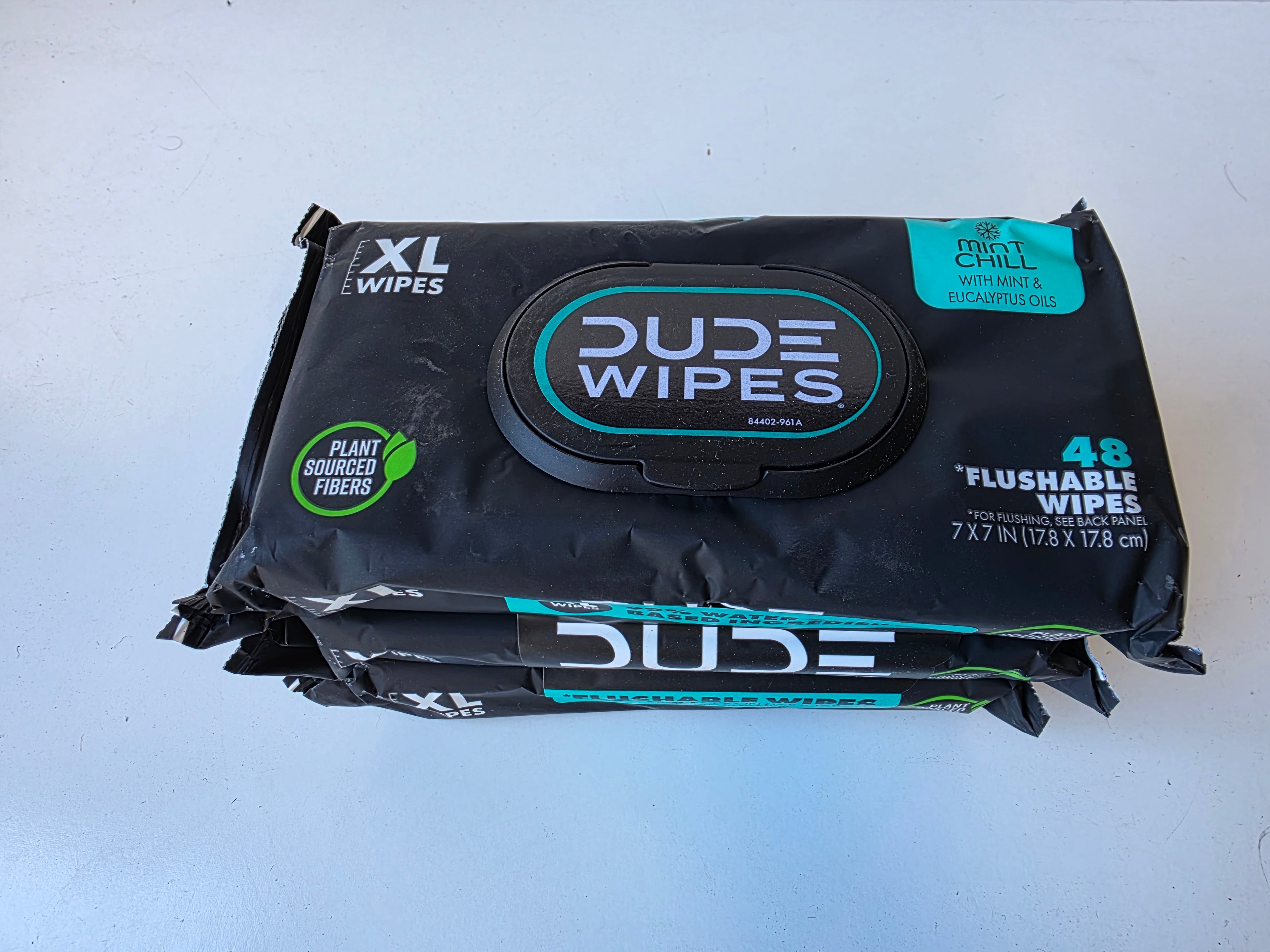 Dude Wipes Mint Chill XL Flushable Cleansing Wipes With Eucalyptus Oils Cooling Pack