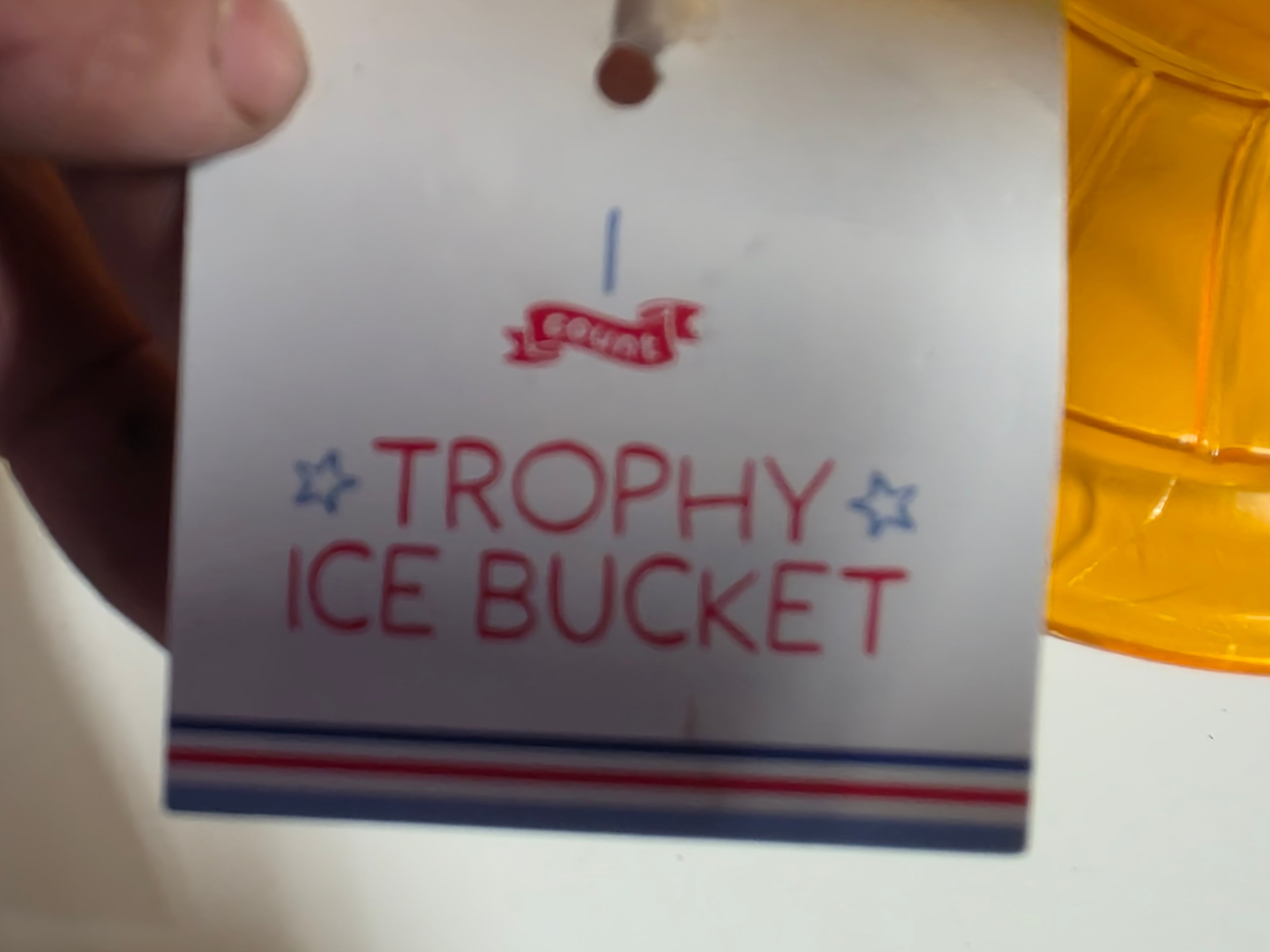Plastic Trophy Ice Bucket Large Gold Party Decor Two-Handle Celebration Display
