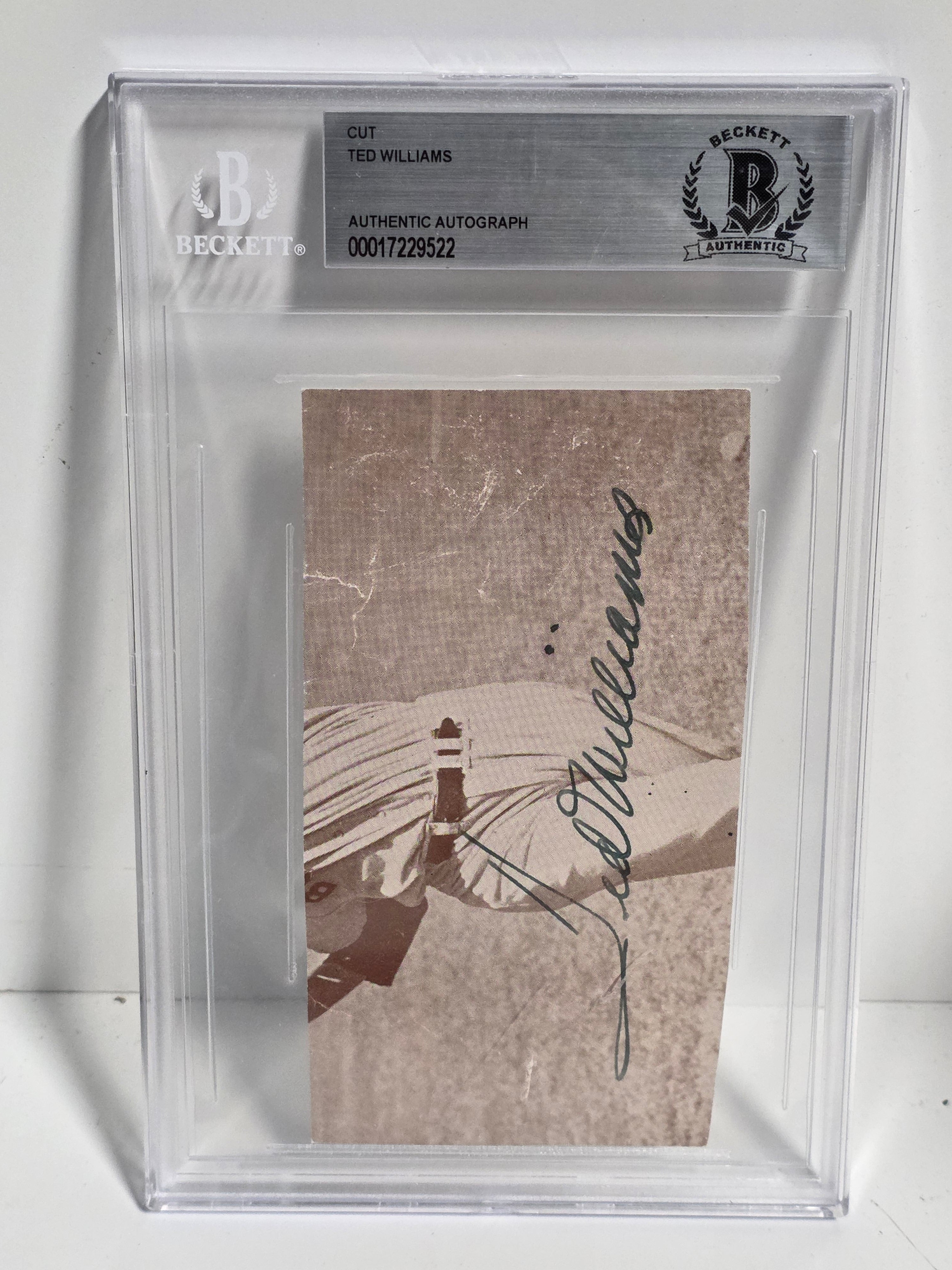 Ted Williams Beckett Slabbed Cut Signature Authentic Autographed Collectible Display