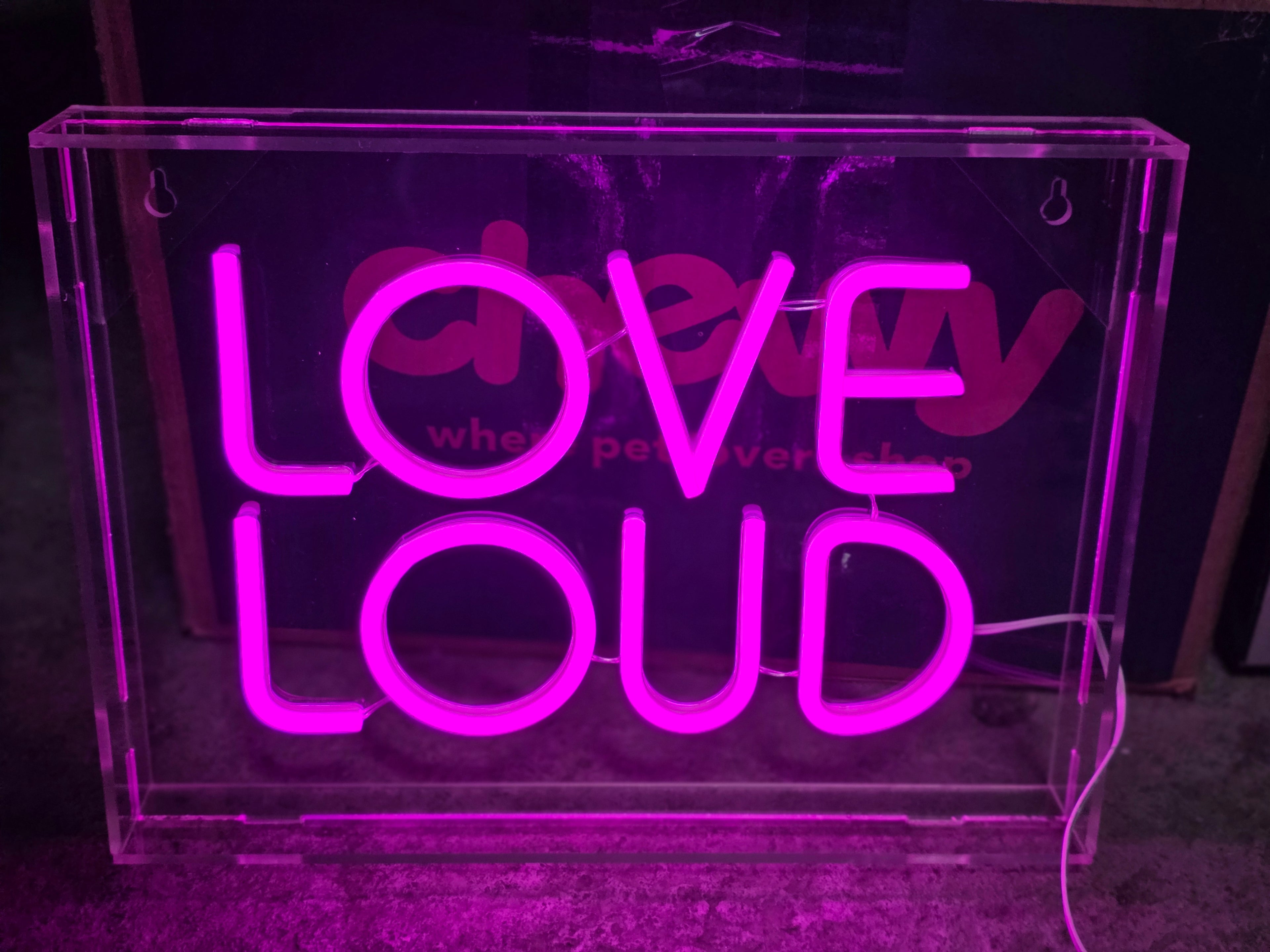 Love Loud Pink LED Neon Sign Acrylic Lighted Wall Decor
