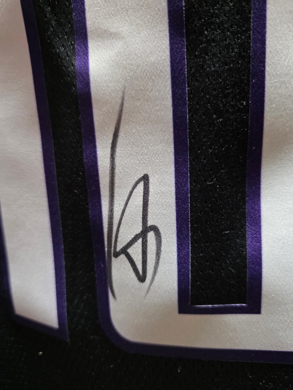 NIKE NBA DeMar DeRozan Basketball Jersey Signed Sacramento Kings Icon Edition