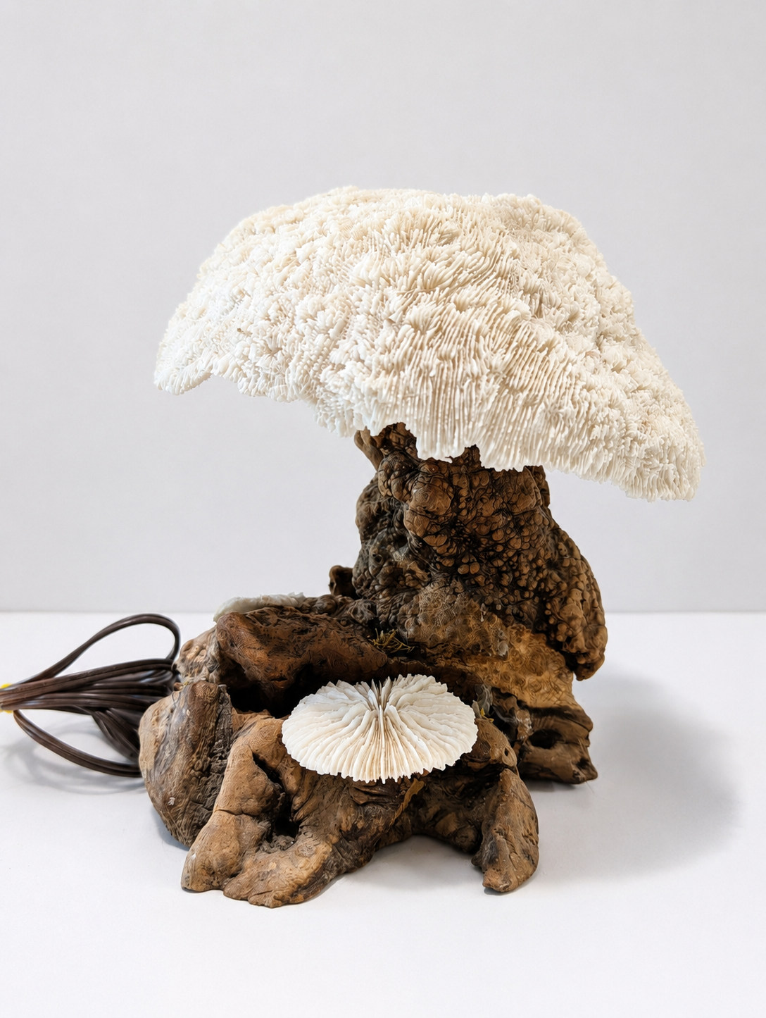 Vintage Natural Coral Mushroom Table Lamp Driftwood Base Coastal Ocean Decor Light