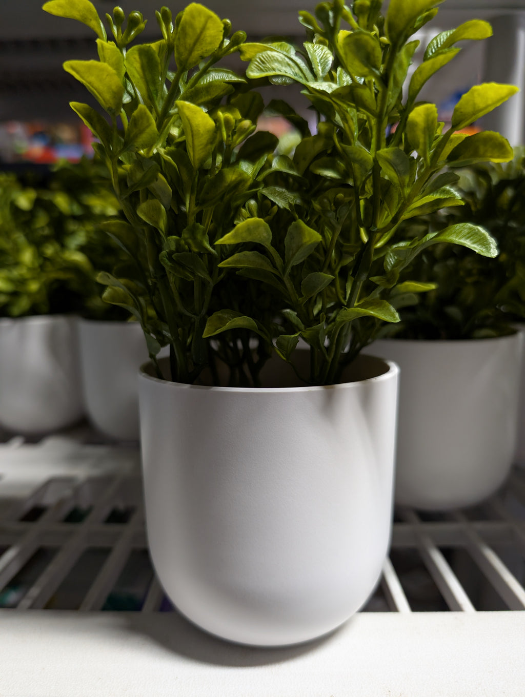Faux Boxwood Arrangement in White Pot Indoor Decorative Greenery 8 Inch Display
