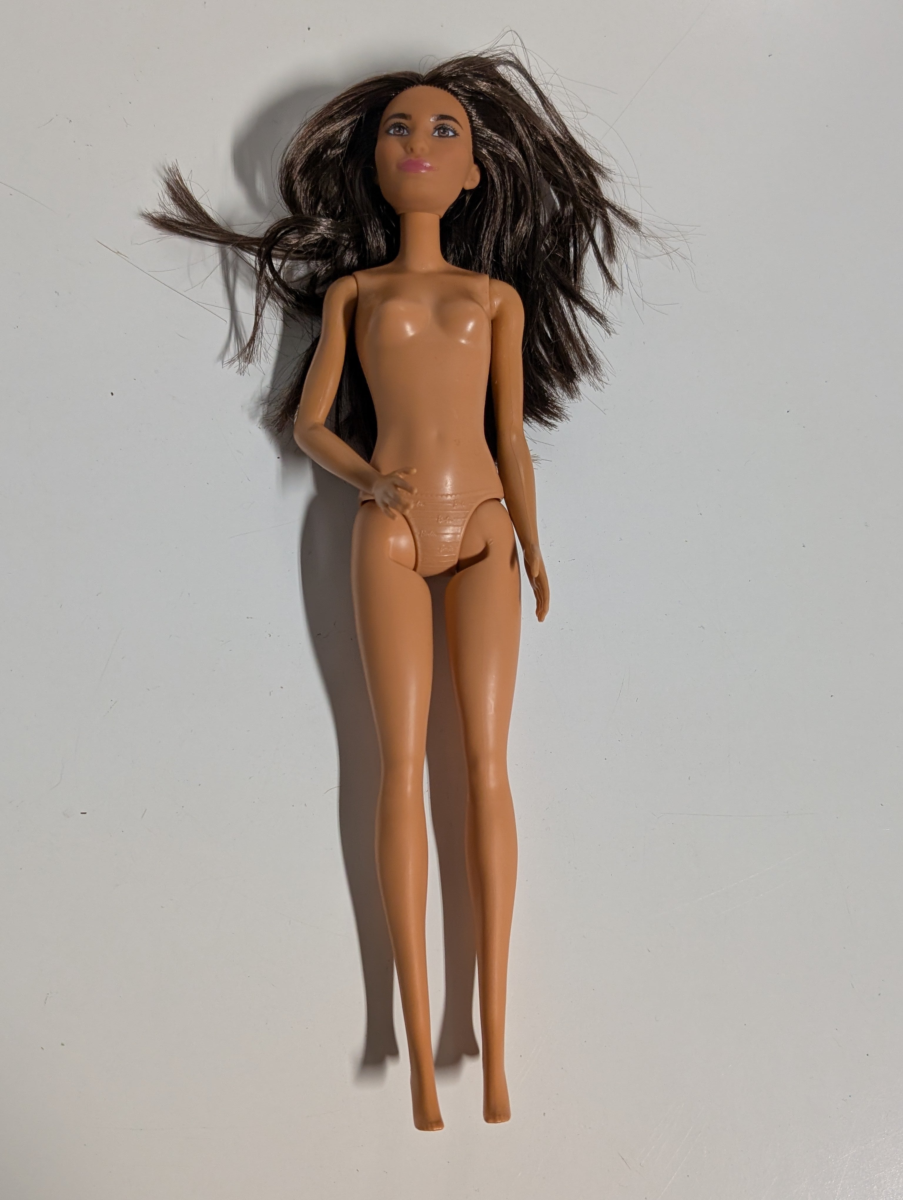 Barbie Doll 2015 Mattel Brunette Articulated Figure Collectible Fashion Play Doll