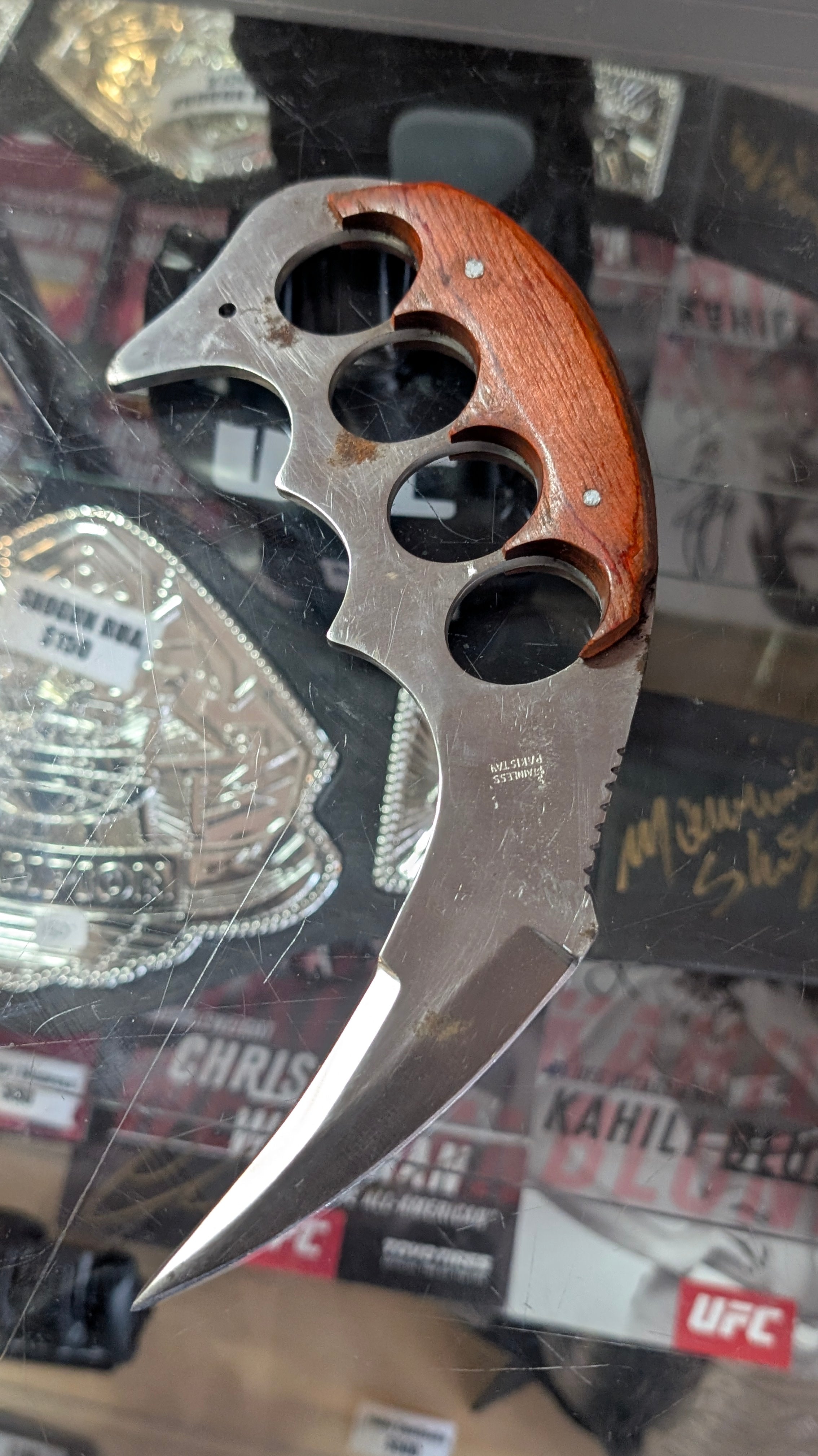 Stainless Steel Karambit Style Fixed Blade Knife Wood Handle With Sheath