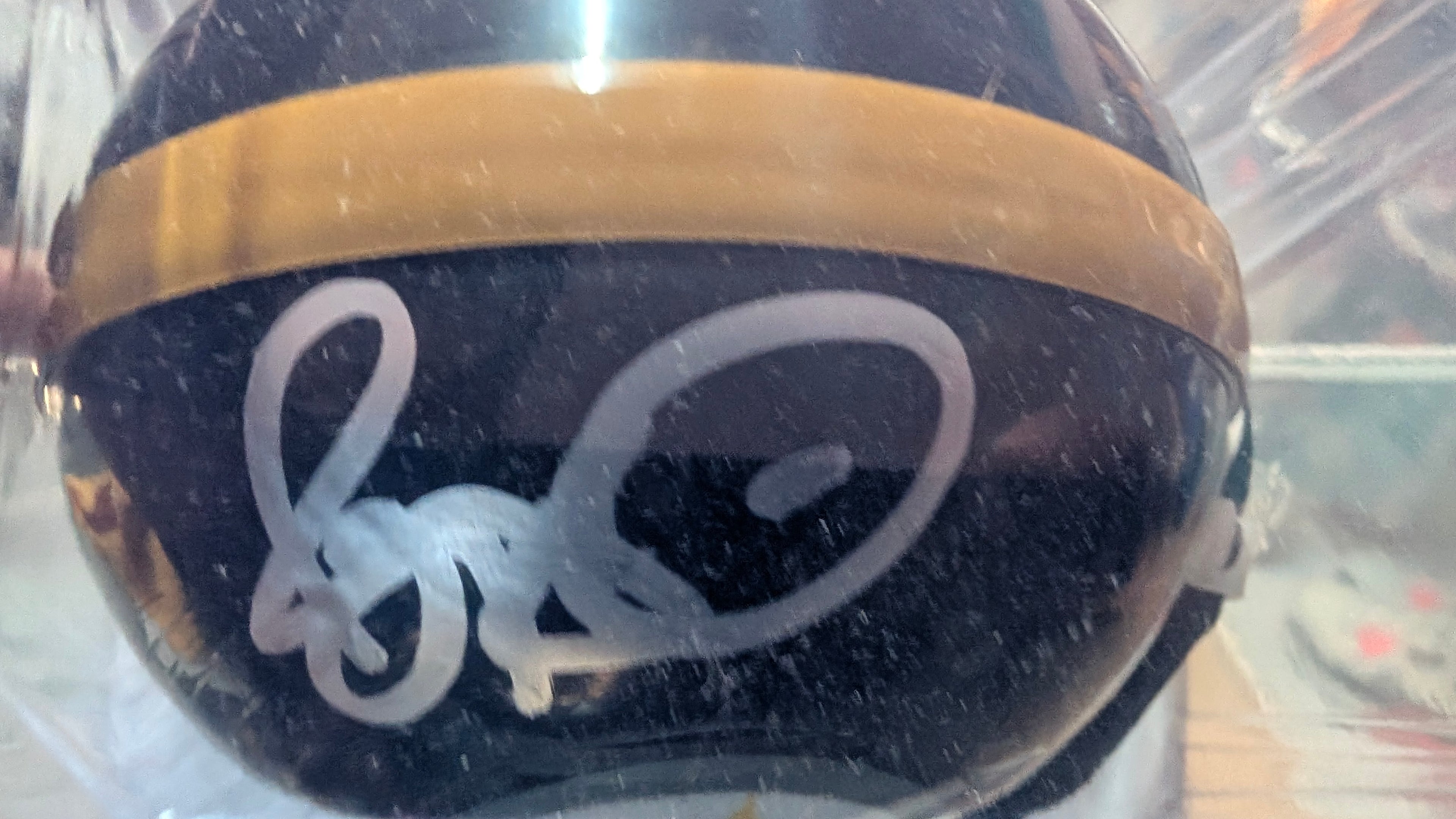 Jerome Bettis Signed Riddell Steelers NFL Mini Helmet PSA DNA AB29319