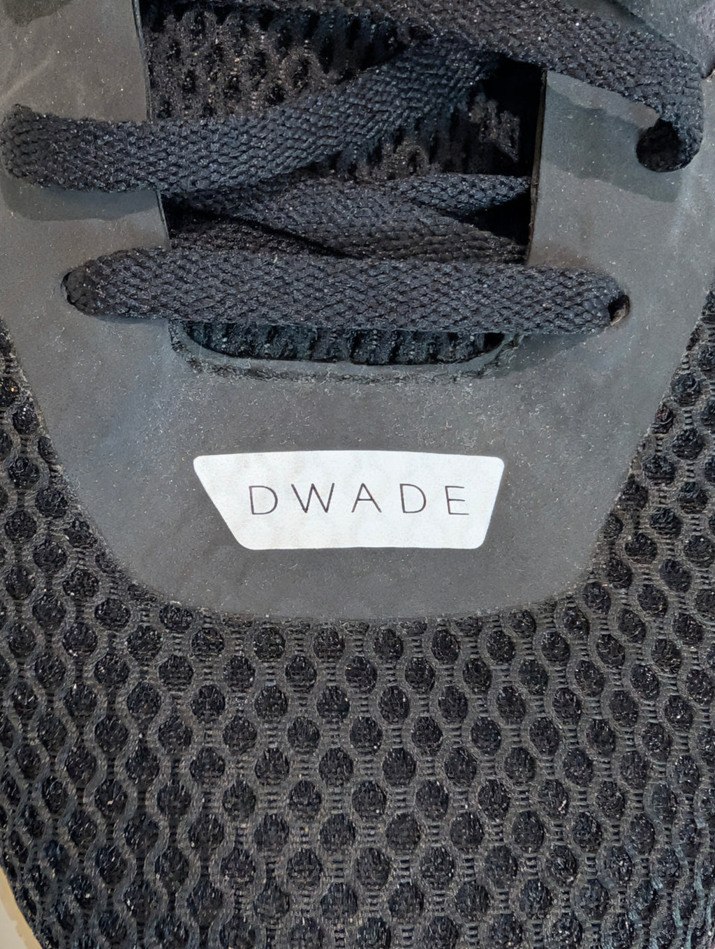 Dwyane Wade Signed Li-Ning Way Of Wade Basketball Shoe Autograph Display Piece