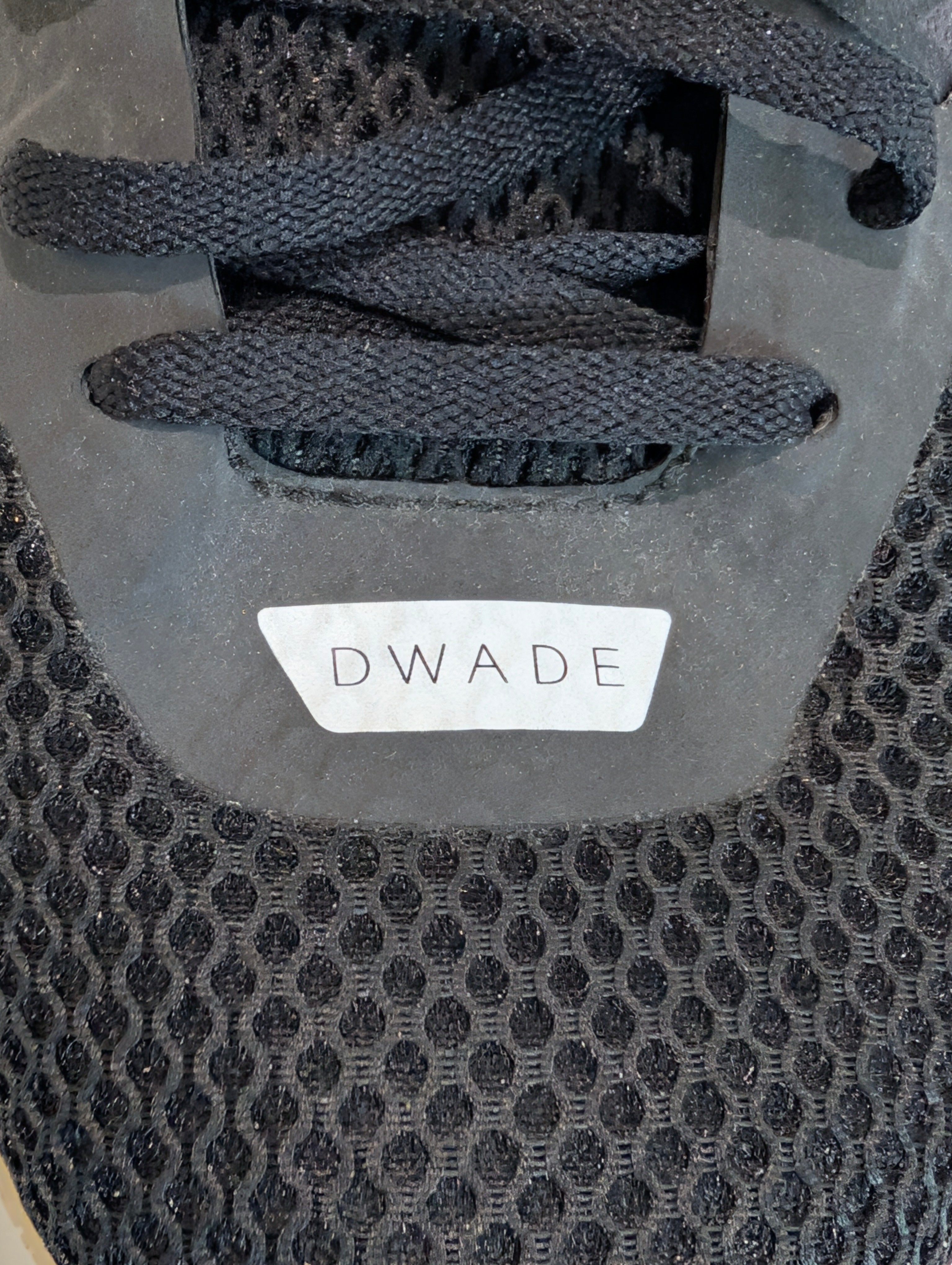 Dwyane Wade Signed Li-Ning Way Of Wade Basketball Shoe Autograph Display Piece