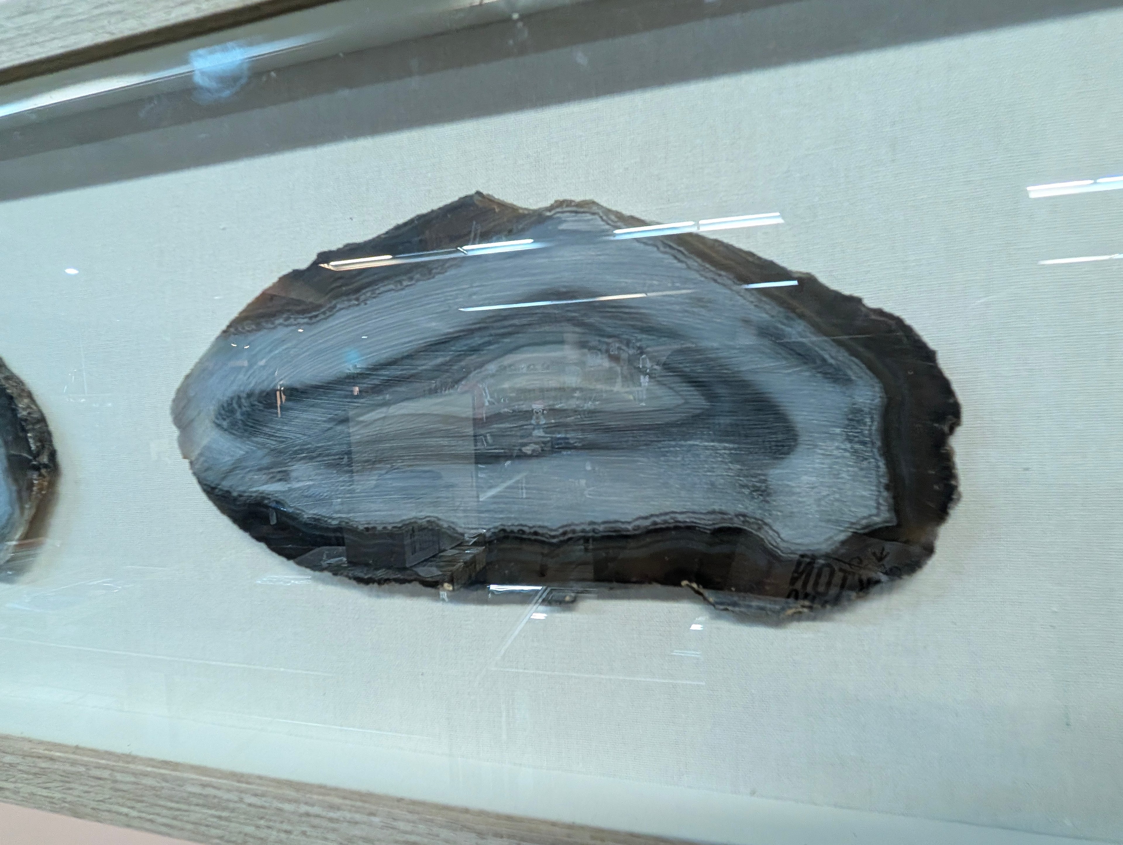 Framed Agate Slice Wall Art Natural Stone Shadow Box Decor Modern Display