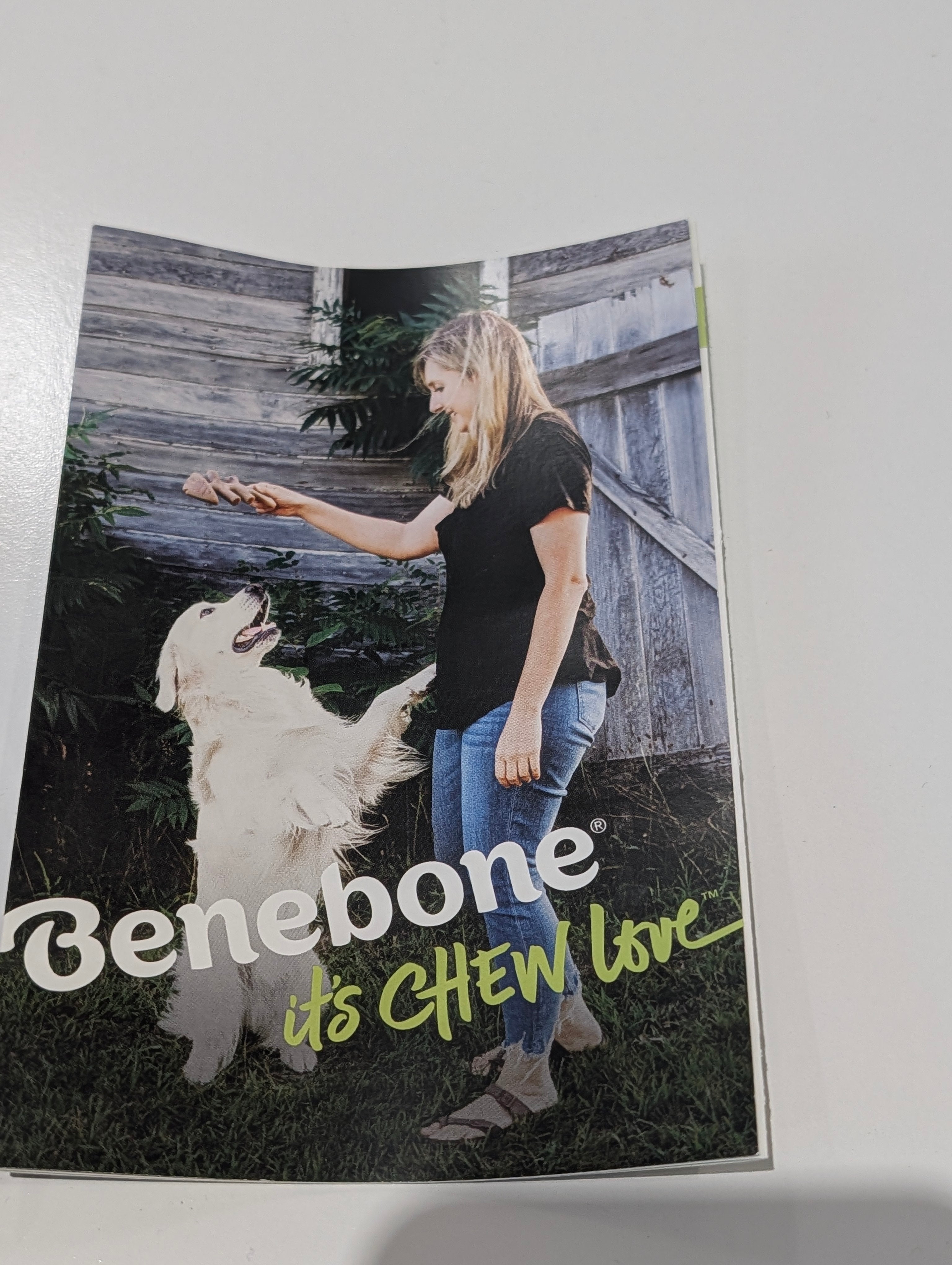Benebone Dog Chew Toy Lot Wishbone Fishbone Durable Nylon Bacon Flavor Set