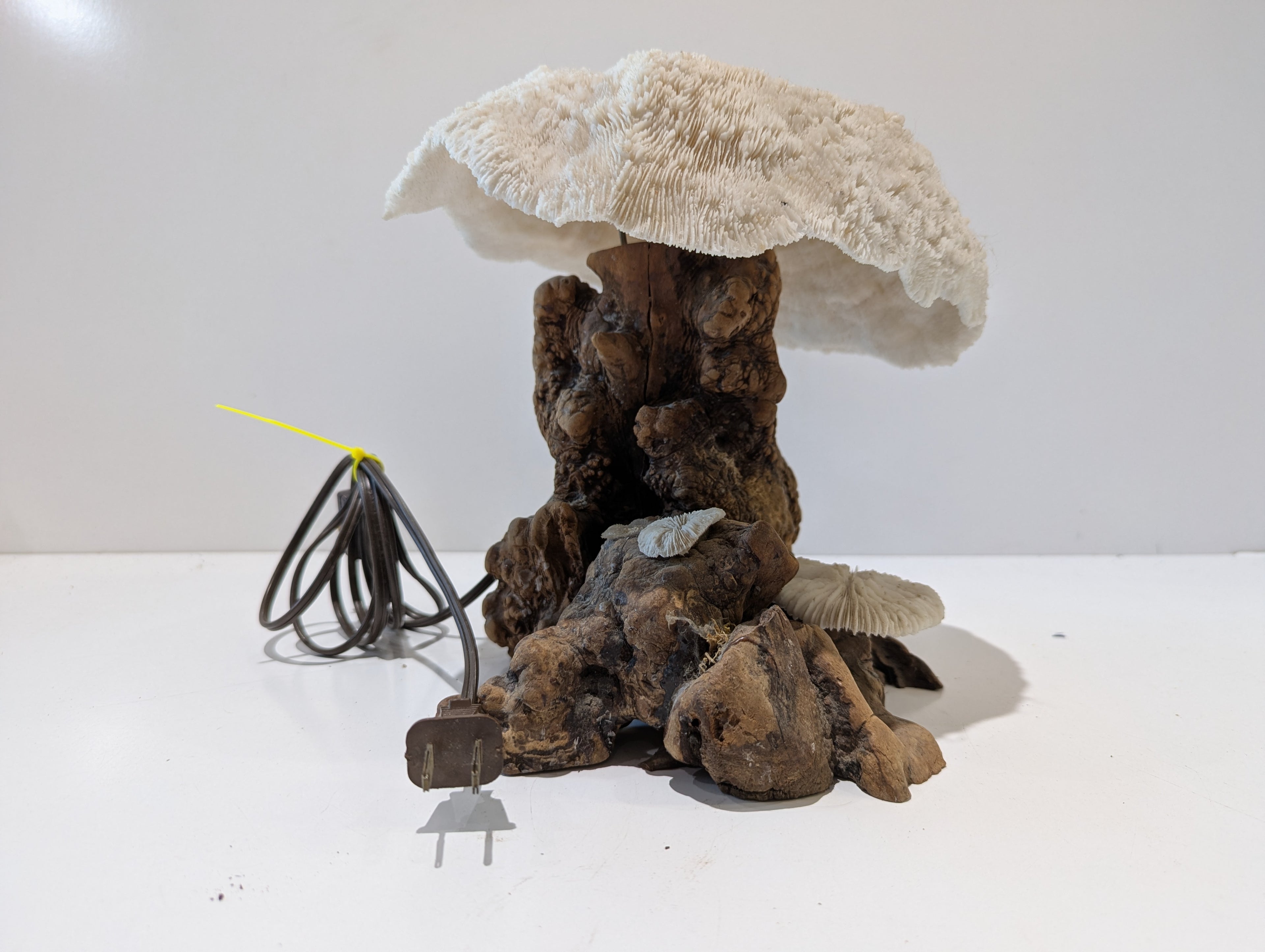 Vintage Natural Coral Mushroom Table Lamp Driftwood Base Coastal Ocean Decor Light