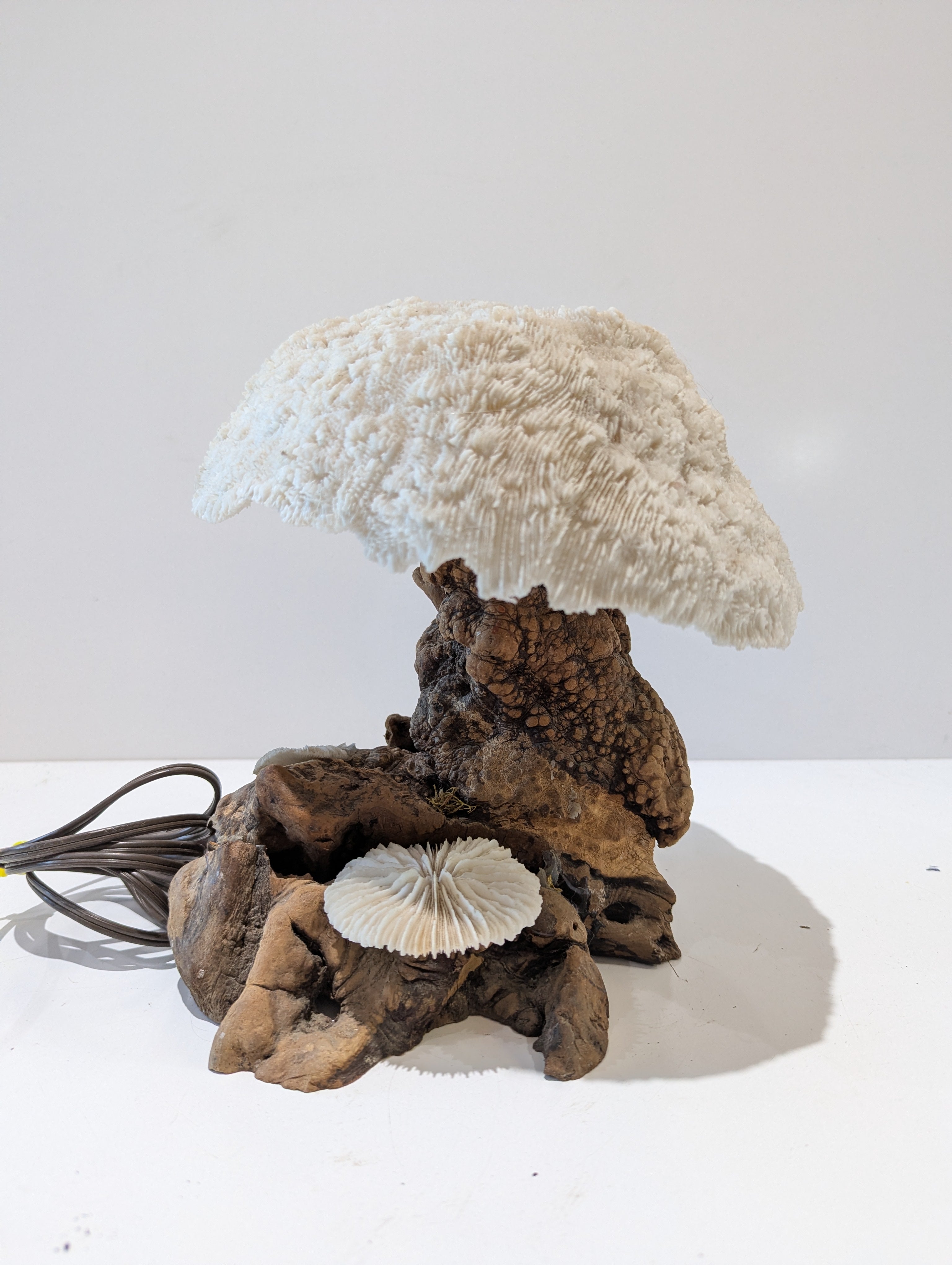 Vintage Natural Coral Mushroom Table Lamp Driftwood Base Coastal Ocean Decor Light