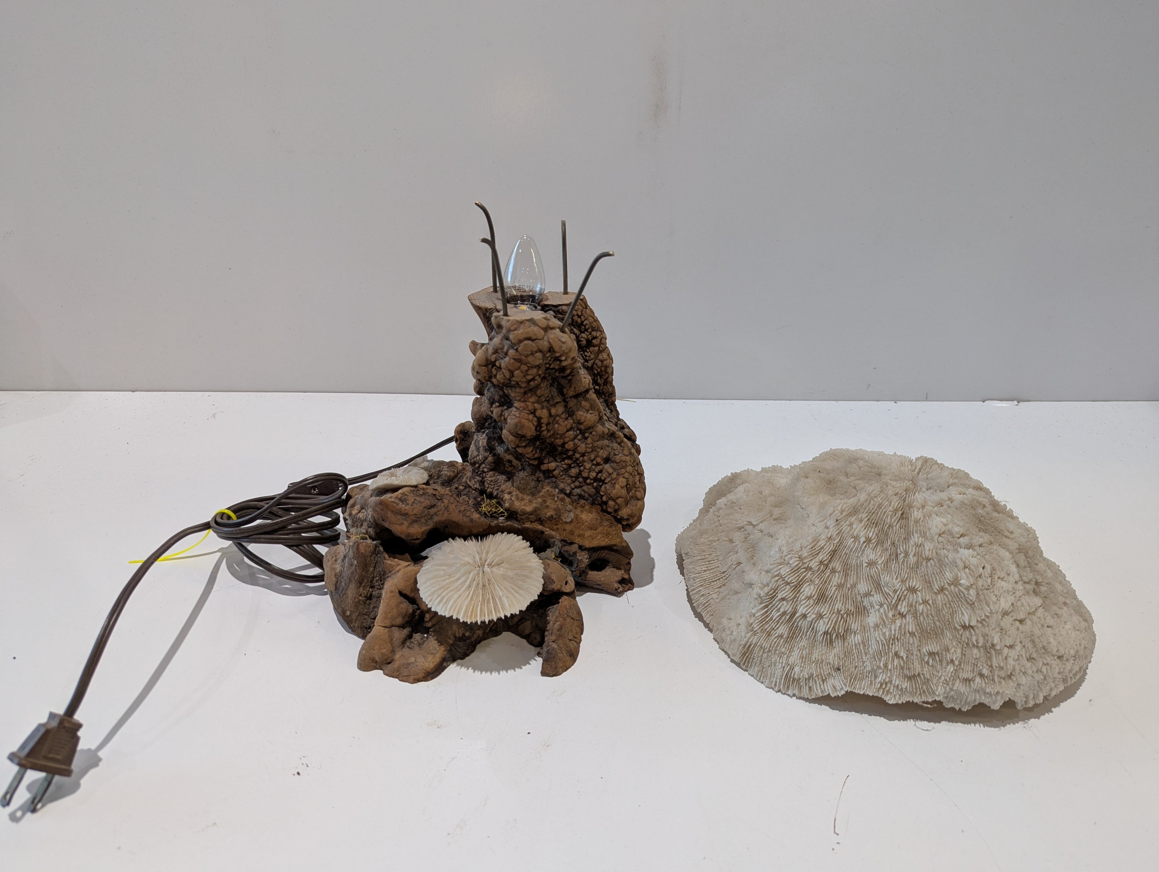 Vintage Natural Coral Mushroom Table Lamp Driftwood Base Coastal Ocean Decor Light