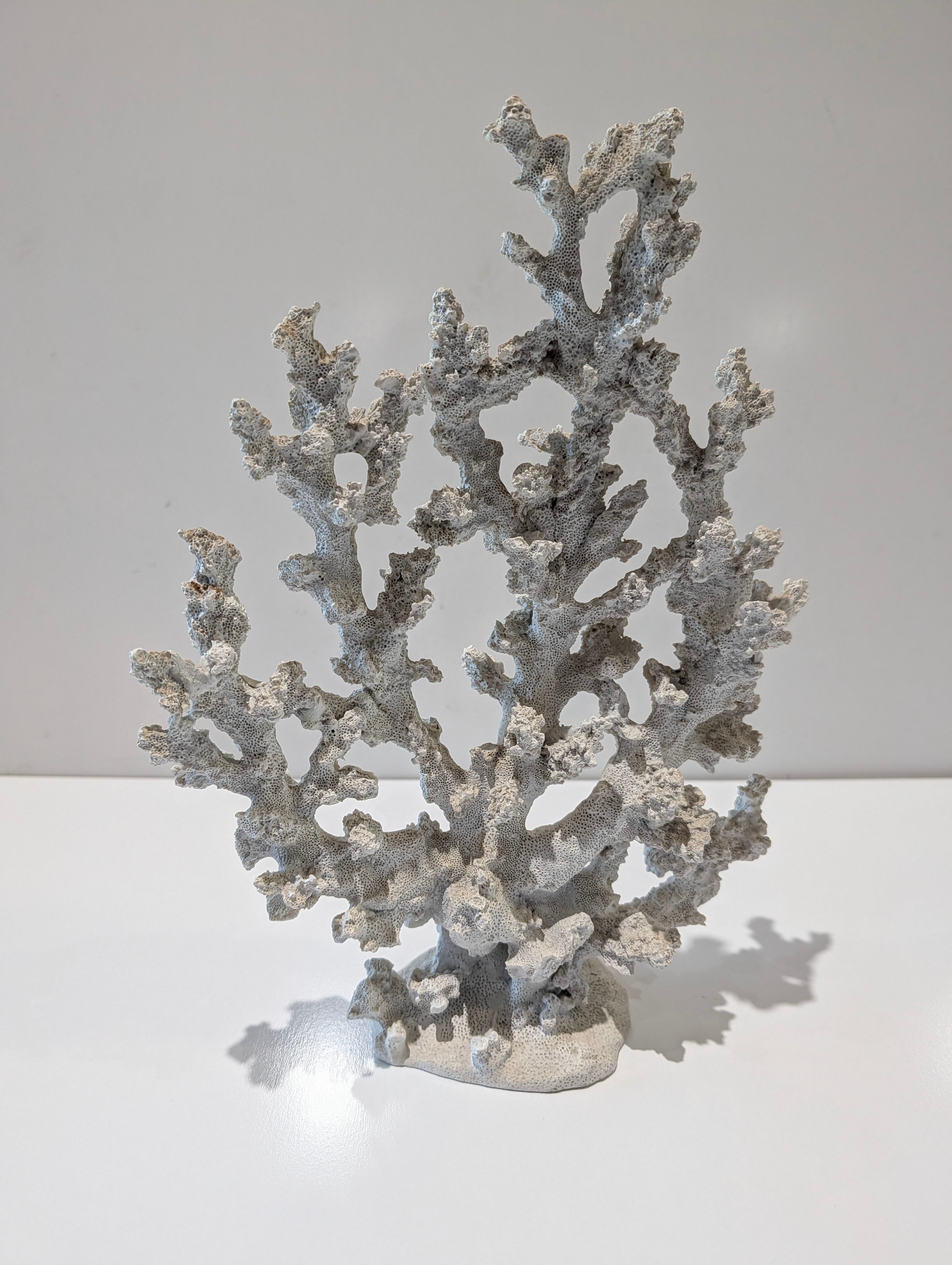 Large Natural White Branch Coral Specimen Reef Display Coastal Home Decor Sculpture